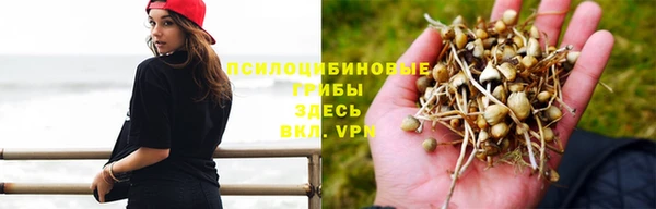MDMA Premium VHQ Нязепетровск
