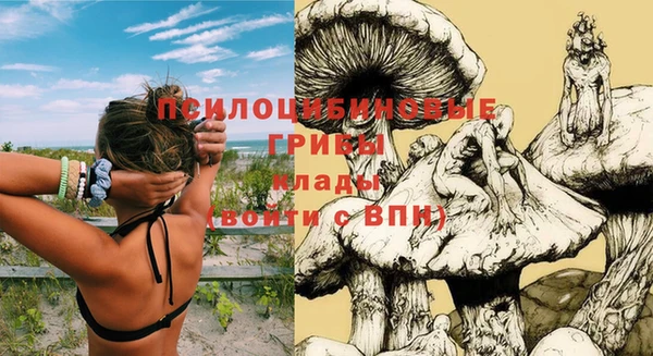 ALPHA PVP Няндома