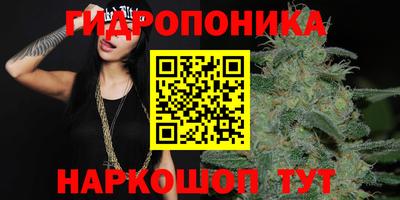 бошки Берёзовский