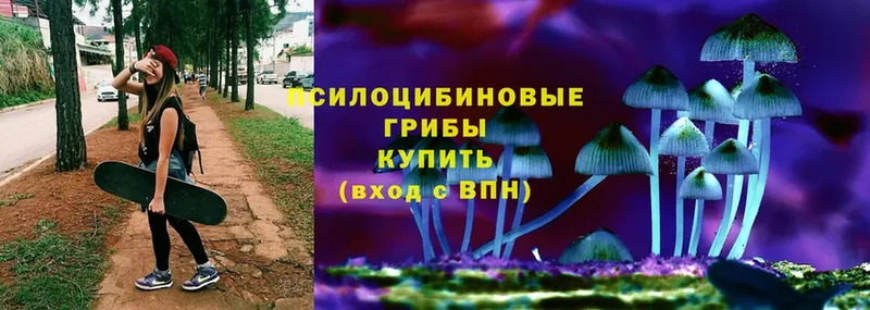 Псилоцибиновые грибы Cubensis  Кольчугино 