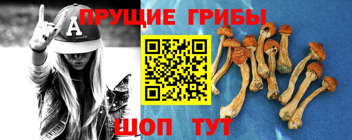 Галлюциногенные грибы Magic Shrooms Кольчугино